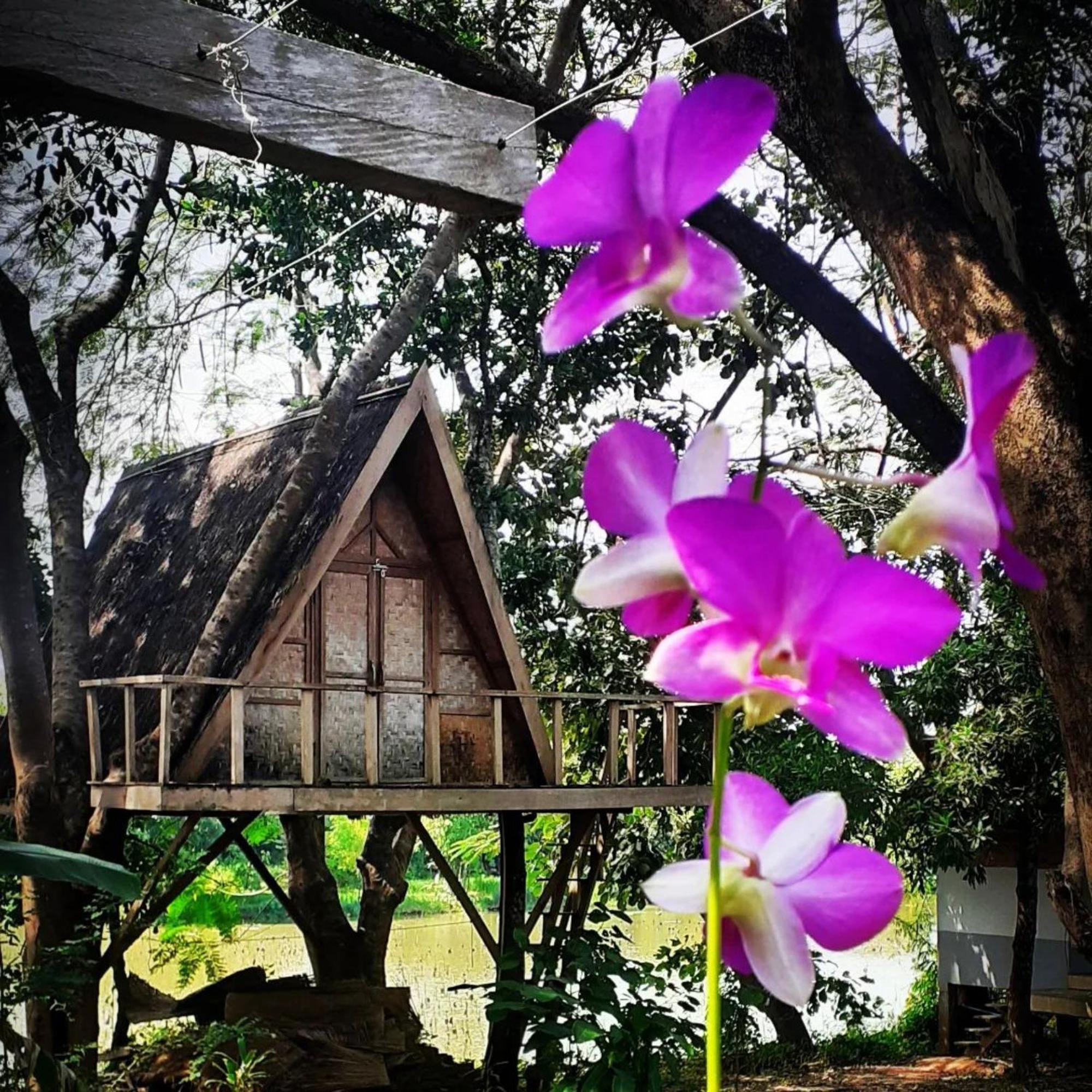 Fandee Island Treehouses & Ziplines - Tad Lo, Bolaven Loop Pakse Ban Kiangtat Kültér fotó
