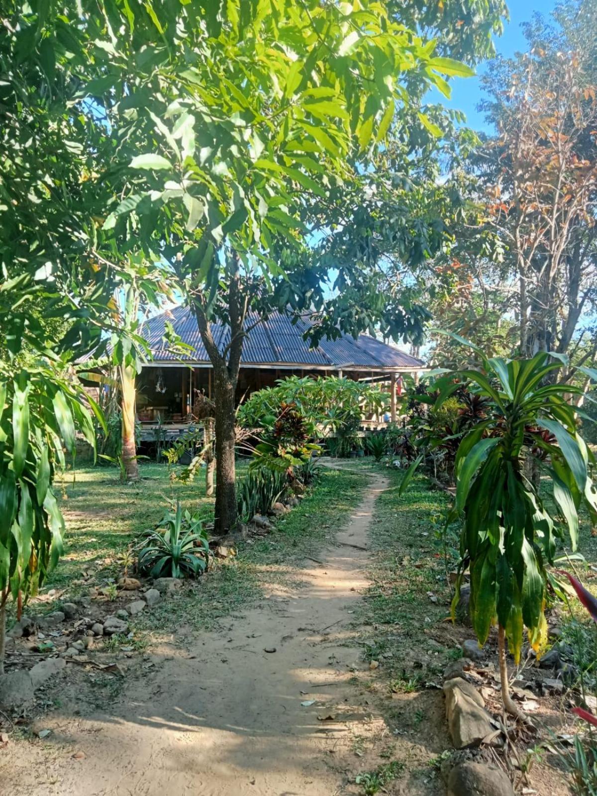 Fandee Island Treehouses & Ziplines - Tad Lo, Bolaven Loop Pakse Ban Kiangtat Kültér fotó